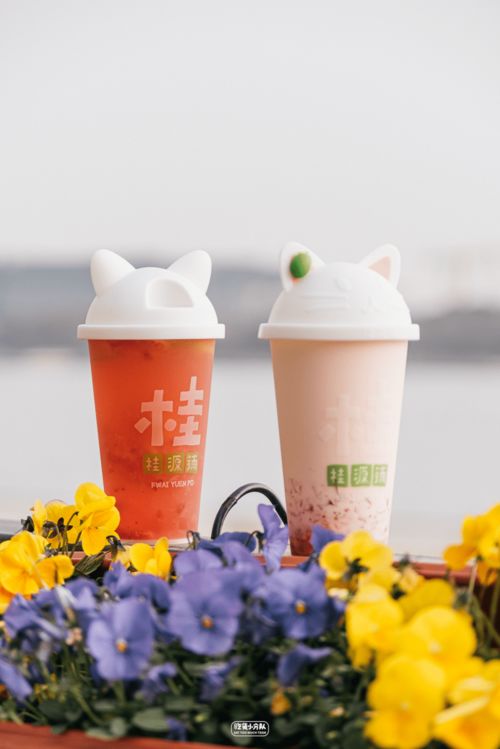 純萃滋味 打造專注無(wú)酒精即飲型奶茶的獨(dú)特體驗(yàn)