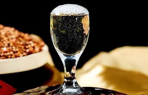 低價(jià)淘好酒有門道 避開(kāi)即飲型，記住三要點(diǎn)，便宜也能喝到好滋味